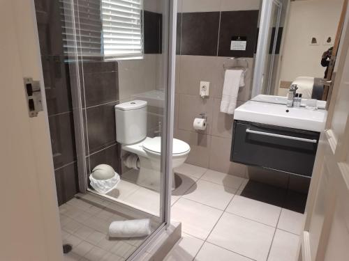 a bathroom with a shower and a toilet and a sink at The Paralian Exclusive Guest House in East London