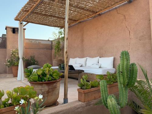 a patio with a bed and cactuses on a patio at Riad UP in Marrakesh