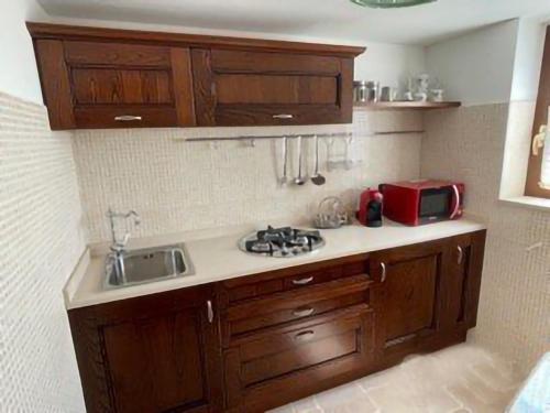a kitchen with wooden cabinets and a sink and a microwave at Trullo Bianco in Putignano