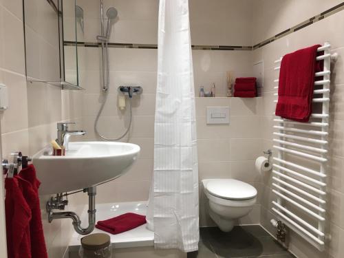 W łazience znajduje się umywalka, toaleta i prysznic. w obiekcie Zu Gast im Wohnpark Erlabrunn w mieście Erlabrunn