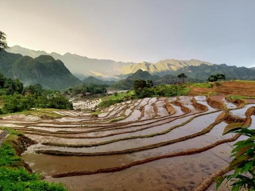 a group of terraced rice fields on a mountain at Puluong Home in Pu Luong