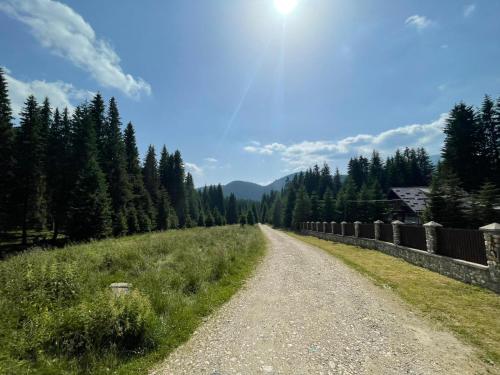 a dirt road in the middle of a field at Cabana Laptici - statiunea Pestera-Padina, Bucegi in Sinaia