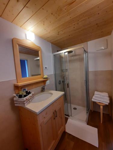 een badkamer met een wastafel en een douche bij B&B alla Spiazzőla in Spormaggiore