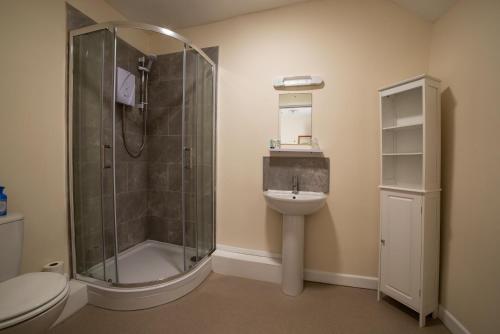 een badkamer met een douche, een toilet en een wastafel bij The Anchor Inn in Hartland