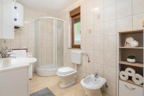 a bathroom with a toilet and a shower and a sink at Kuk Medin in Klanac