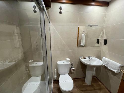 a bathroom with a toilet and a sink and a shower at La Era de Lario habitación con Jacuzzi in Lario