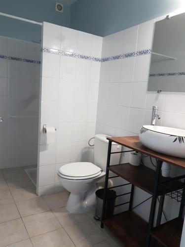 uma casa de banho com um WC e um lavatório em La Capèra em Lachapelle
