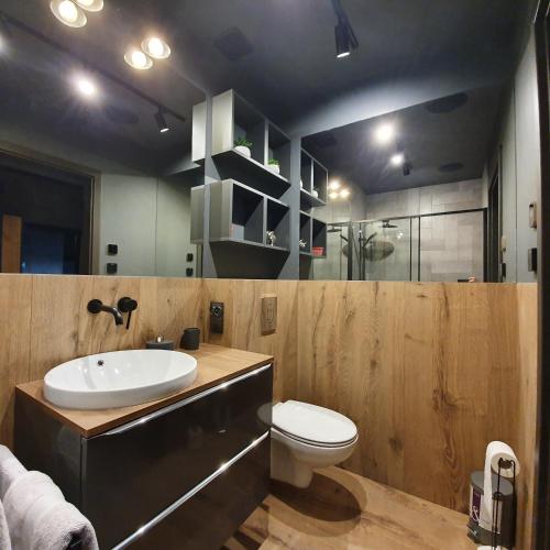 a bathroom with a sink and a toilet at Apartamenty Kąpielowa Czarny in Ełk