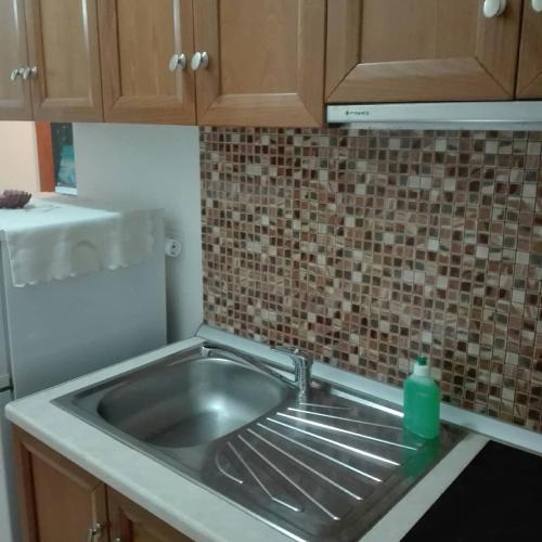 a kitchen sink with a green bottle on it at Balkan House in Potos