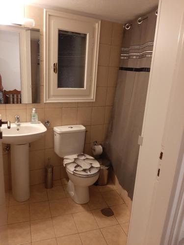 baño con aseo y lavabo y ventana en Volto, en Mirsíni