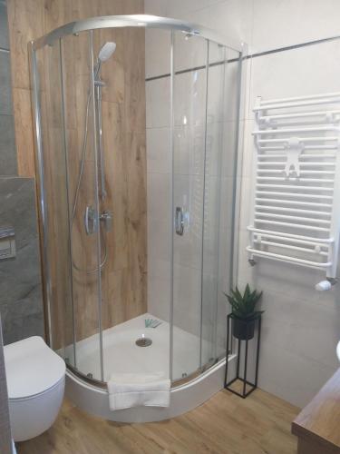 a shower stall in a bathroom with a toilet at Apartamenty Wakacyjne Historie in Międzylesie