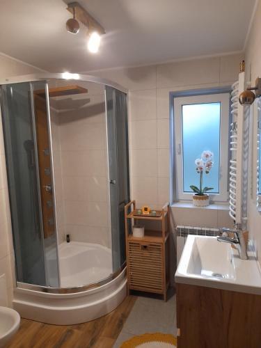 ein Badezimmer mit einer Dusche, einer Badewanne und einem Waschbecken in der Unterkunft Domek u Jaśka in Głębokie