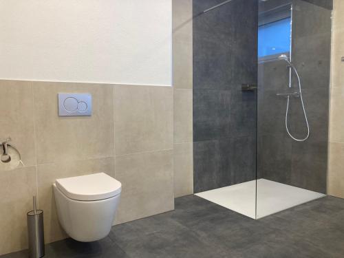 a bathroom with a toilet and a shower at Ansitz Hofer in Fulpmes