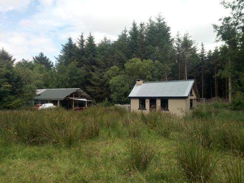 a small house in the middle of a field at Castaway Cabin in Tuamgraney