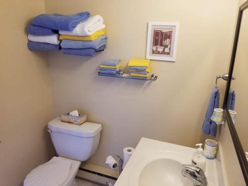 a bathroom with a toilet and a sink and towels at St Ann's Motel & Cottage in Baddeck