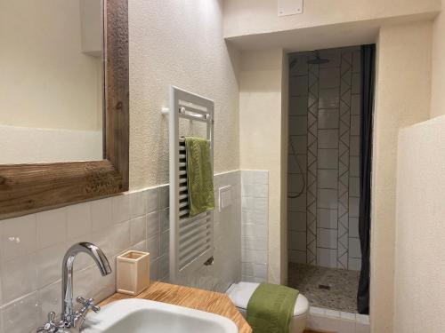 La salle de bains est pourvue d'un lavabo et d'une douche. dans l'établissement Al Riccio, à Cocconato