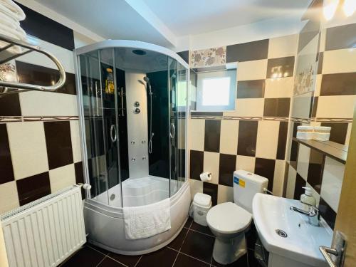 a bathroom with a shower and a toilet and a sink at Garsoniera Family in Buşteni