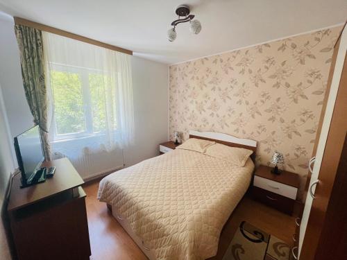 a bedroom with a bed and a window at Garsoniera Family in Buşteni