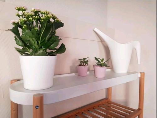 two potted plants and a white pot on a shelf at Charmante maison lumineuse au coeur de Liège! in Ans
