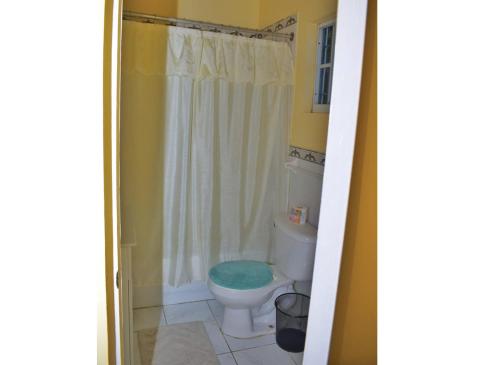 ein Bad mit einem WC und einer Dusche in der Unterkunft Unity Villa one bedroom apartment with, cable, park wifi,near beach in Montego Bay