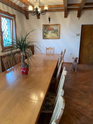 a large wooden table in a room with a dog at Wine House, Zidanica Gruden in Novo Mesto