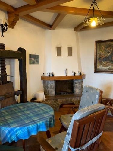 a living room with a table and a fireplace at Wine House, Zidanica Gruden in Novo Mesto