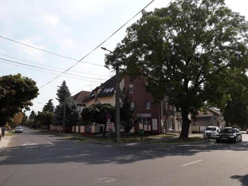 een straat met een boom aan de kant van de weg bij Belvárosi Apartman Lux in Hajdúszoboszló