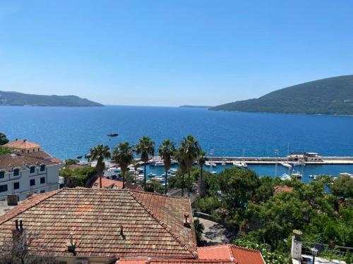 Gallery image of Villa Donna apartments in Herceg-Novi