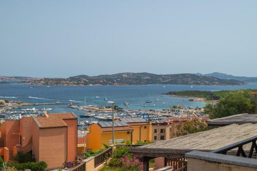 Palau Vista Trilo 14 – Photos 2