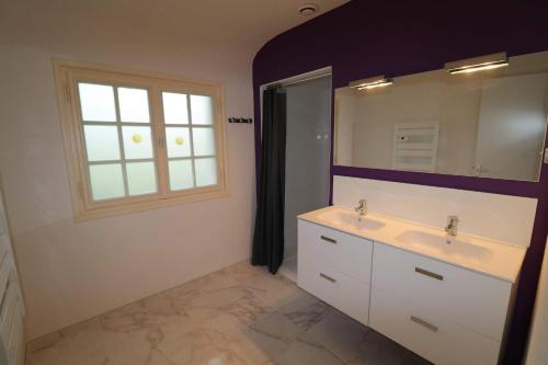ein Bad mit einem Waschbecken, einem Spiegel und einem Fenster in der Unterkunft Gîtes du Franc Rosier 2 in Rigny-Ussé