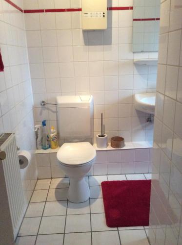 a bathroom with a toilet and a sink at Kleines Appartement in Sankt Augustin