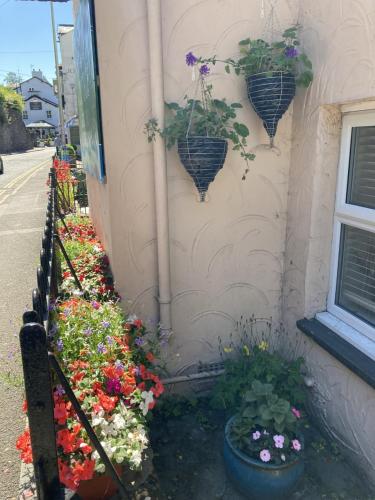 a group of flowers on the side of a building at Holly Cottages in Bowness-on-Windermere