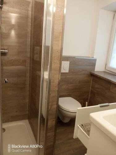 a bathroom with a toilet and a glass shower at Gästehaus Fechheim in Neustadt bei Coburg