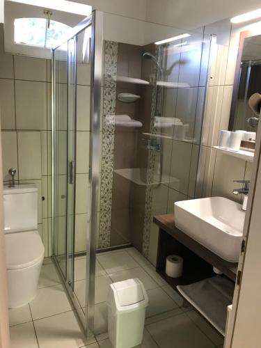 a bathroom with a shower and a toilet and a sink at Hársfa Szálló in Tamási