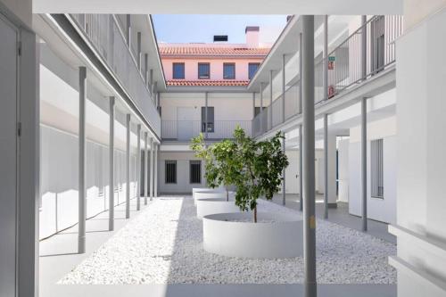 Triana Pages Oasis by Valcambre