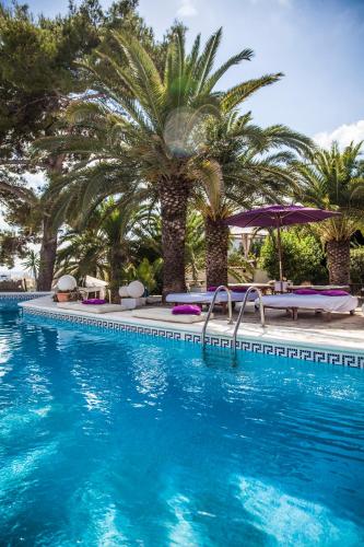 Buenavista & Suites photo 2