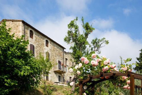 Villa Colle di Rocco – Photos 5