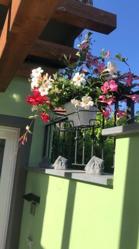un mazzo di fiori su un balcone di Tom & Jerry a Pisa