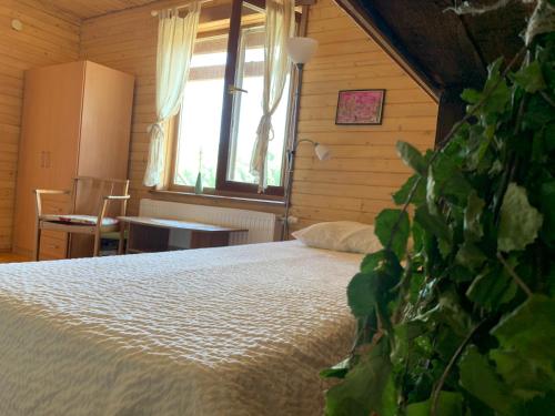 a bedroom with a bed and a window at Lubāna mitrāja informācijas centrs in Abaine