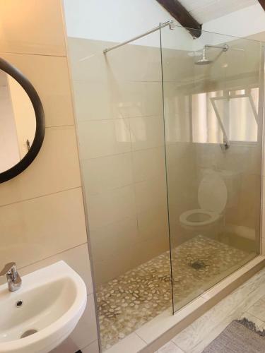 a glass shower in a bathroom with a toilet at The Loft@Santorini in Pretoria