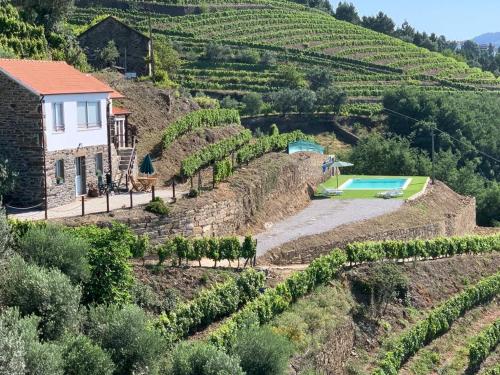 an image of a house on a hill with a swimming pool at Casa da Oliveira in Mesão Frio
