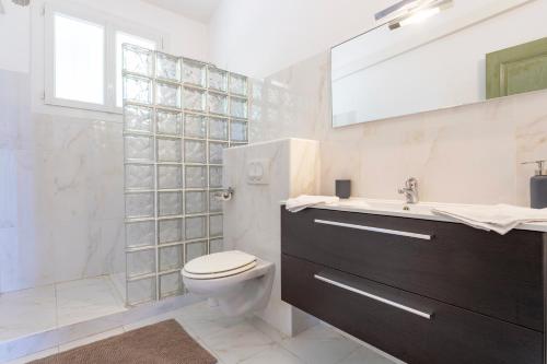 a bathroom with a toilet and a sink and a mirror at Villa La Cigale Gaia's Villas in Théoule-sur-Mer