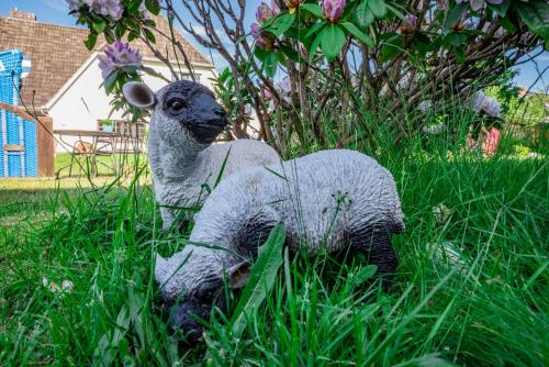 ホテルの敷地内または近くにいる動物