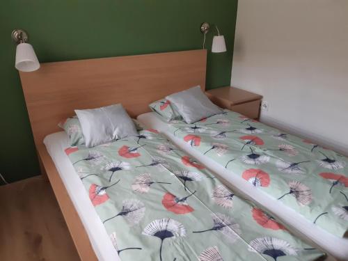 a bedroom with two beds and a green wall at Apartmán Horní Lipová č. 3 in Lipova Lazne