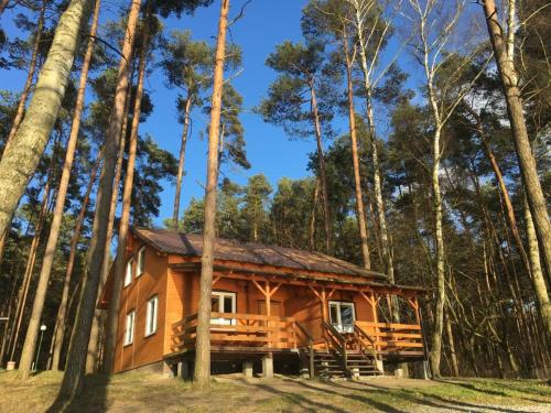a log cabin in the woods with trees at Domki-Temar Kompleks Wypoczynkowy in Dąbie