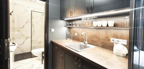 a bathroom with a sink and a toilet at DK Premium Warmińska Secesja in Olsztyn