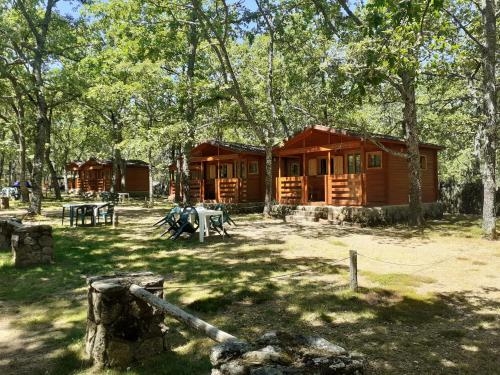 eine Hütte im Wald mit einem Picknicktisch davor in der Unterkunft Camping Las Cavenes in El Cabaco