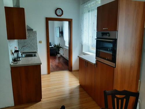 a kitchen with a sink and a stove top oven at Apartmán vila Vítkovice in Vítkovice
