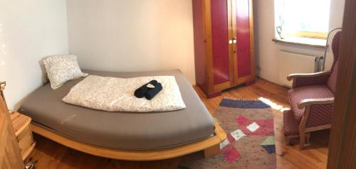 a room with a bed with a cat on it at Georgihof im Park in Unterburg am Klopeiner See