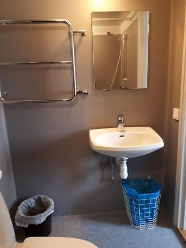 a bathroom with a sink and a mirror at Mäshult Kurs & Lägergård in Skällinge